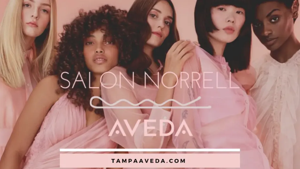 AVEDA Salon Norrell | Hyde Park Village — Beauty salon in Tampa