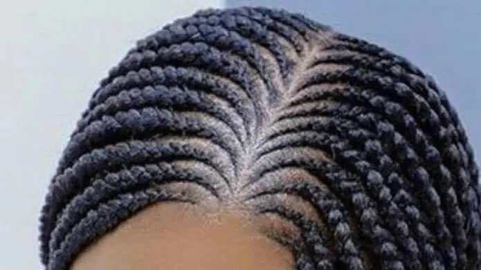 Lovina's African Braids — Beauty salon in Waukegan