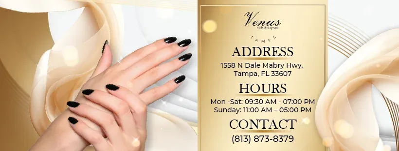 Venus Nails and Day Spa Tampa — Nail salon in Tampa