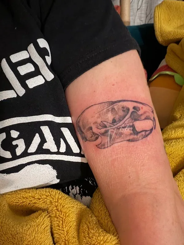 Certified Tattoo Studios — Tattoo shop in Denver