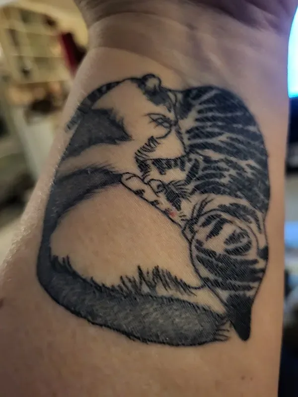 Asylum Studios — Tattoo shop in Roanoke