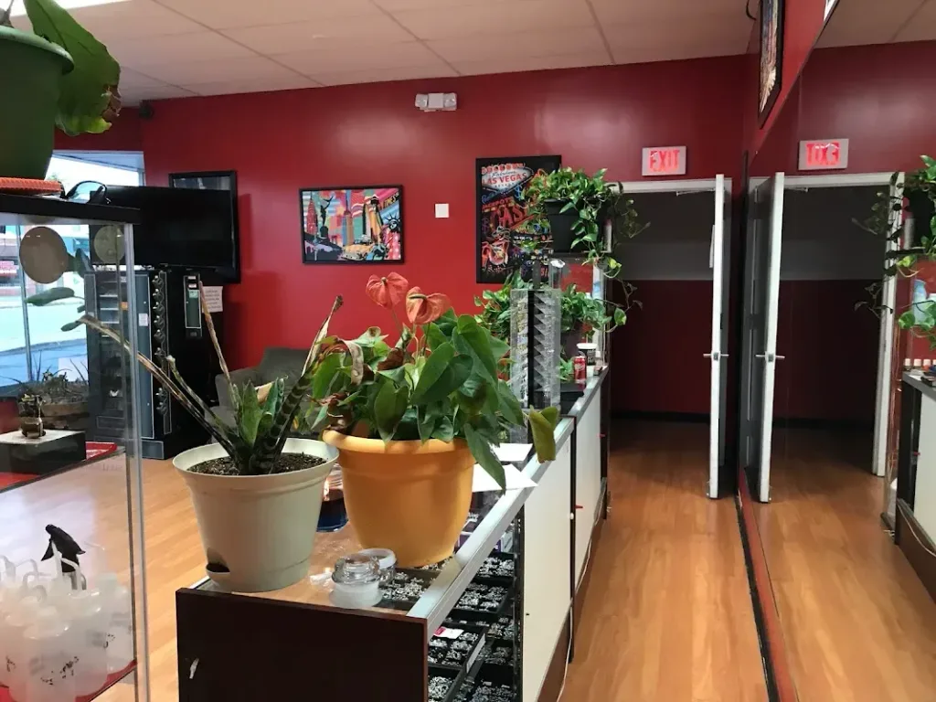 Royalty Ink — Tattoo and piercing shop in Rochester