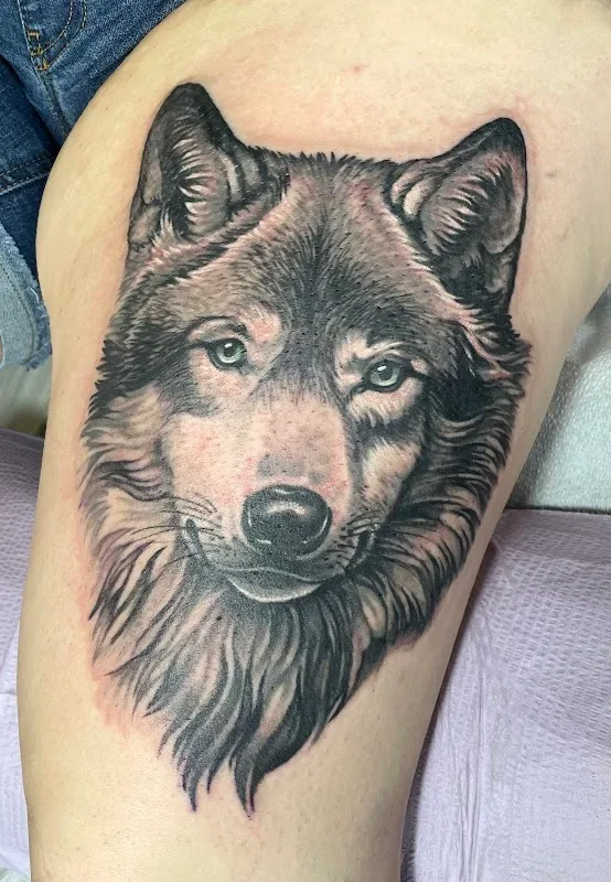 Diversified Ink Tattoo Studio — Tattoo shop in Bangor