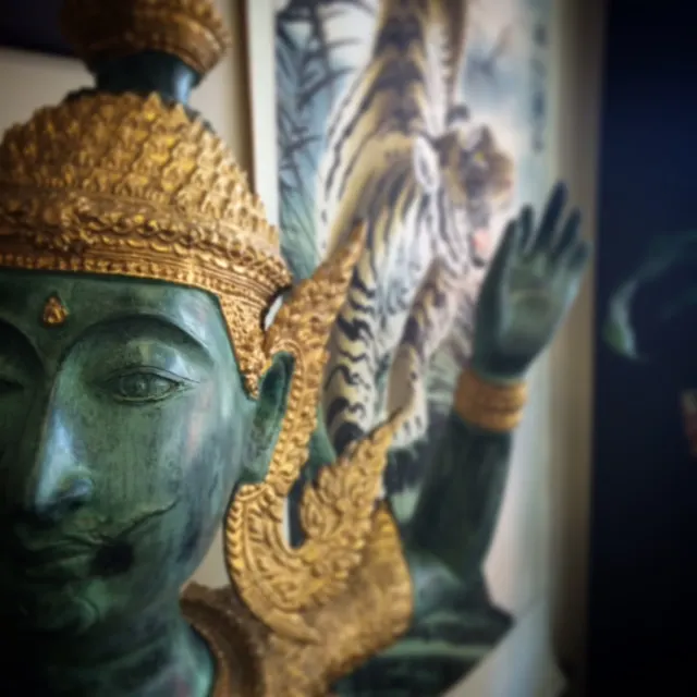 White Lotus Custom Tattoo & Professional Piercing — Tattoo shop in Centennial