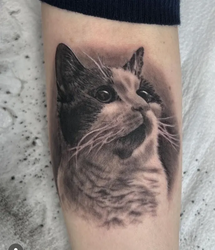 Lucky Monkey Tattoo Parlour — Tattoo and piercing shop in Ann Arbor