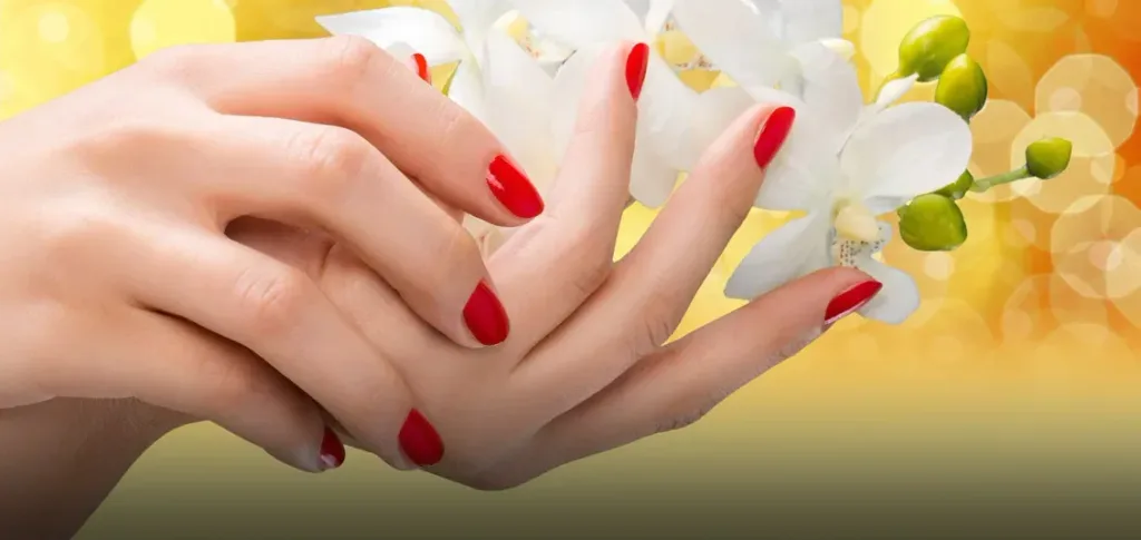 Asheville Nails Spa and Salon — Nail salon in Asheville