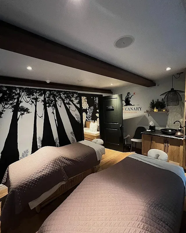 Ape + Canary — Spa in Rochester