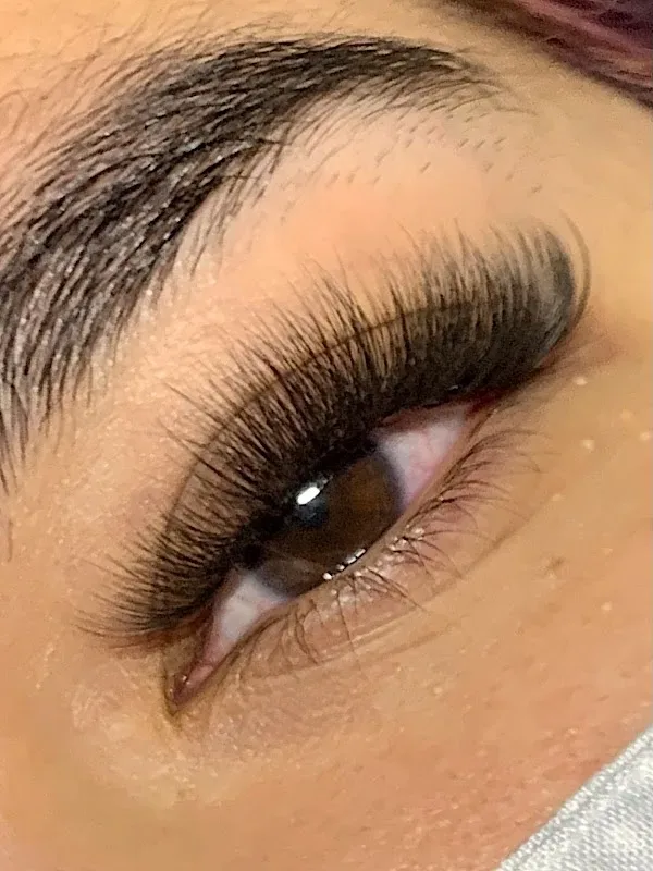 The Look Salon & Spa — Hair salon in Oviedo