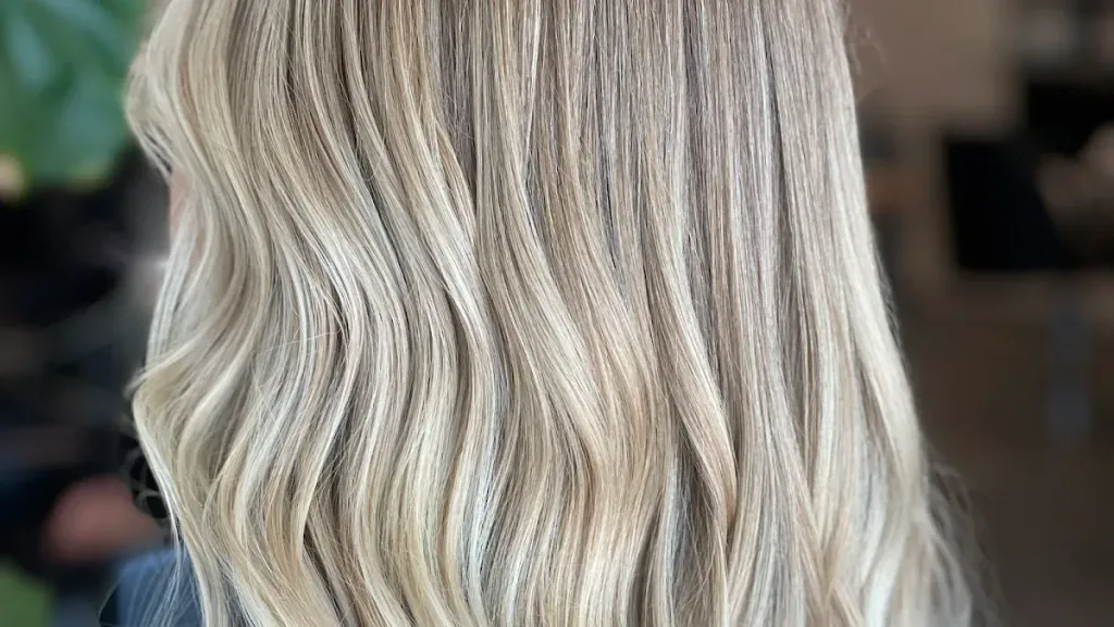 Haas Salon — Hair salon in Tampa