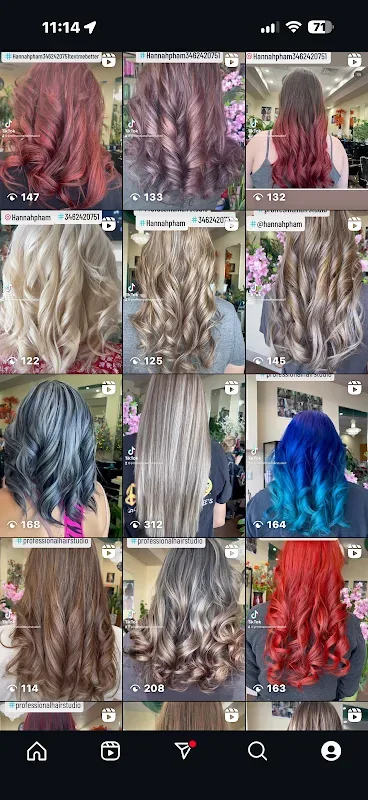 Professional Hair Studio LLC. — Hair salon in Richmond