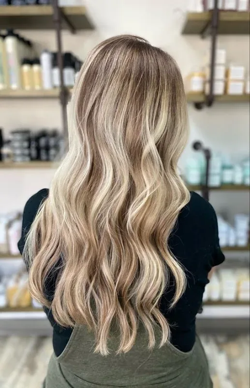 Tribeca Salon South Tampa — Hair salon in Tampa