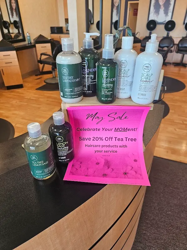 HOLIDAY HAIR — Hair salon in Cleona