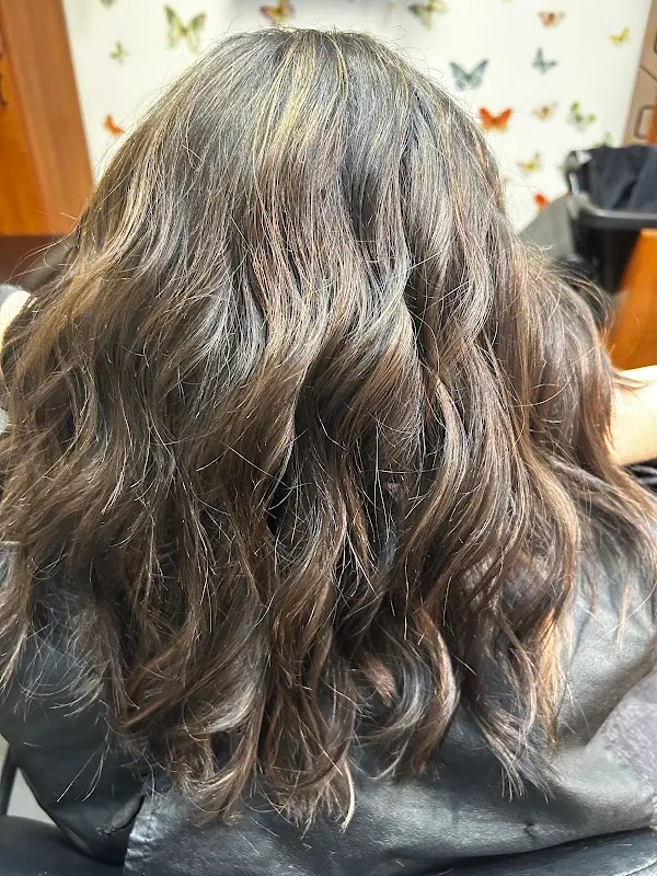 Modish Salon Professional LLC — Hair salon in Castle Hills