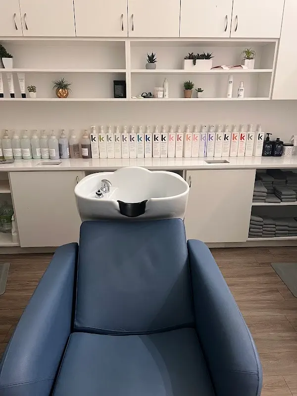Wild Ivy Blow Dry Bar — Hair salon in American Fork