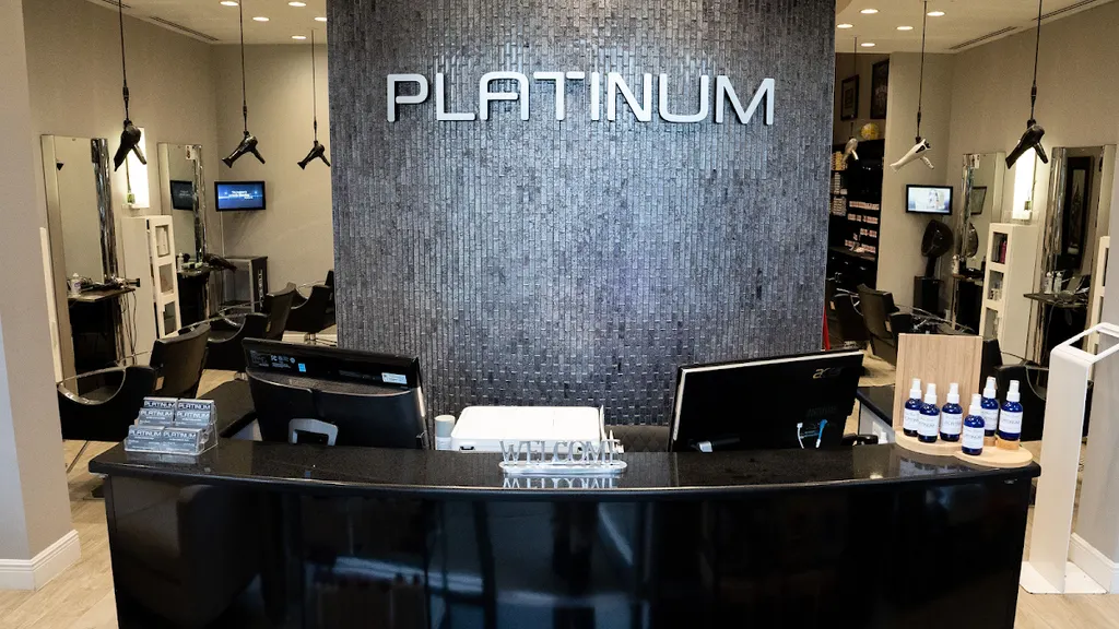 Platinum Salon — Hair salon in Tampa