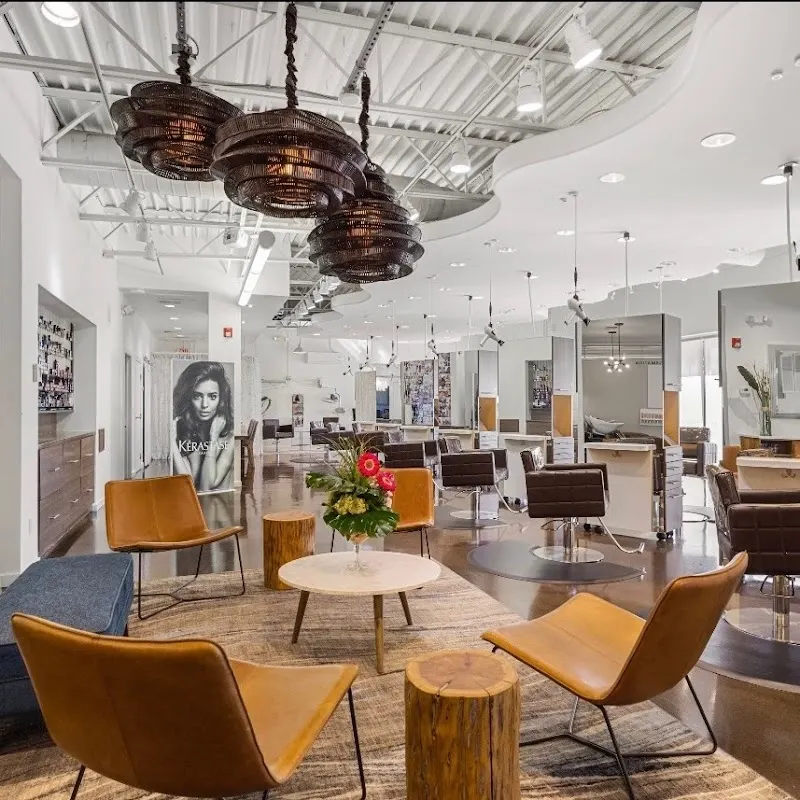 Spa Hollywood — Hair salon in Sarasota