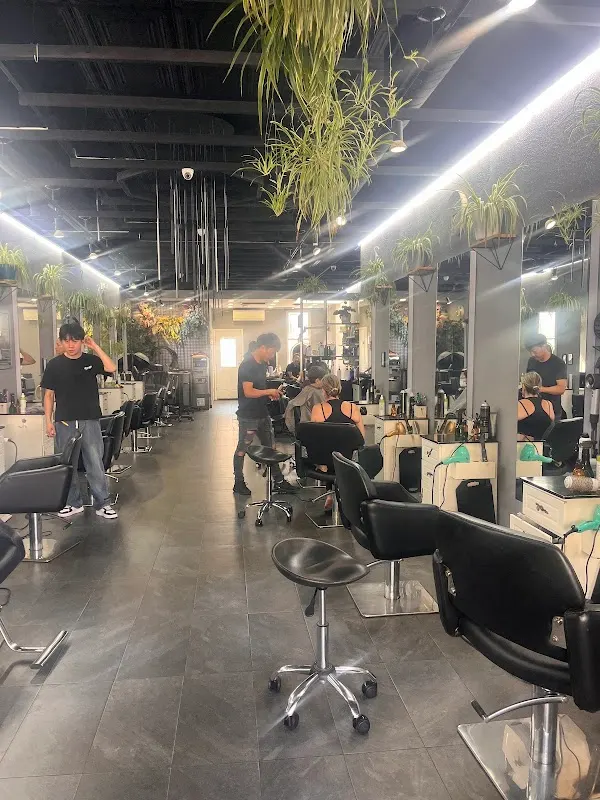 Xcellent Beauty Salon — Hair salon in Bayside