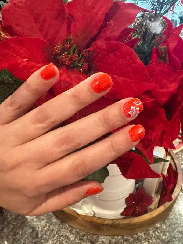 Optima Nail & Spa — Nail salon in Douglassville