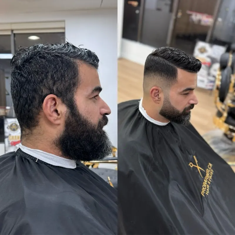 PROBARBER — Barber shop in Mississauga