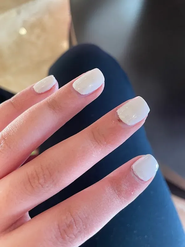 Anthony Vince Nail Spa — Nail salon in Parma